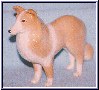 collie standing