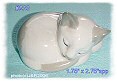 sleeping cat