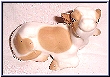 calf