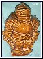 knight money box