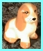 puppy