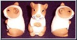 hamster