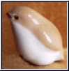 plump bird sitting