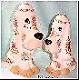spaniel