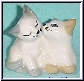 kiss kitts