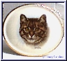 tabby cat