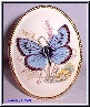 ?Blue Admiral