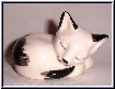 kitten asleep