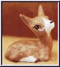 fawn