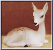 deer lying
