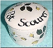 pot scourer