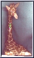 lge giraffe